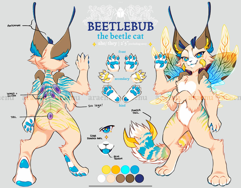 Basic Layout